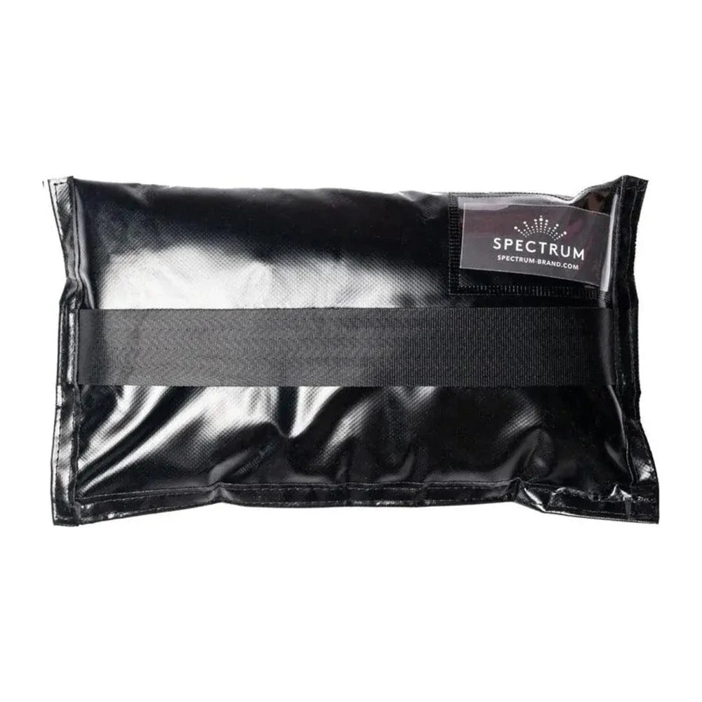 Spectrum 10Kg Shot Bag