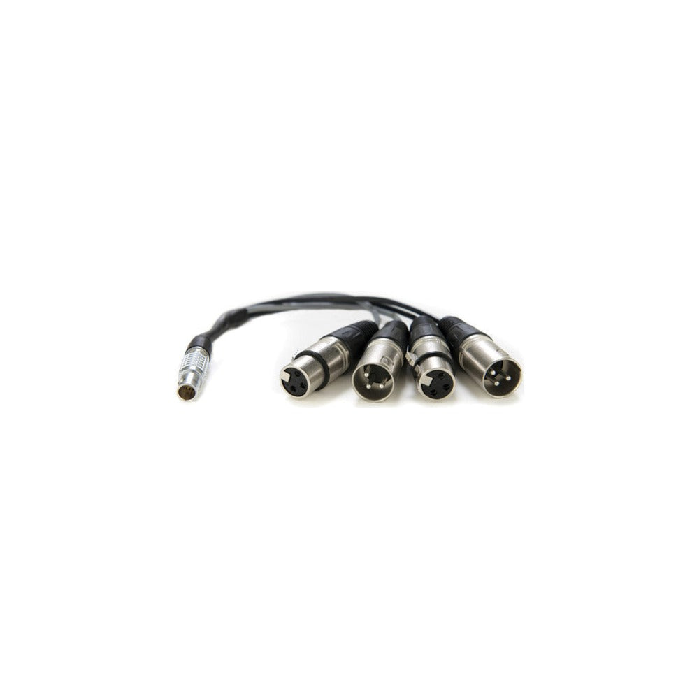 Atomos XLR Breakout Cable (in / out)