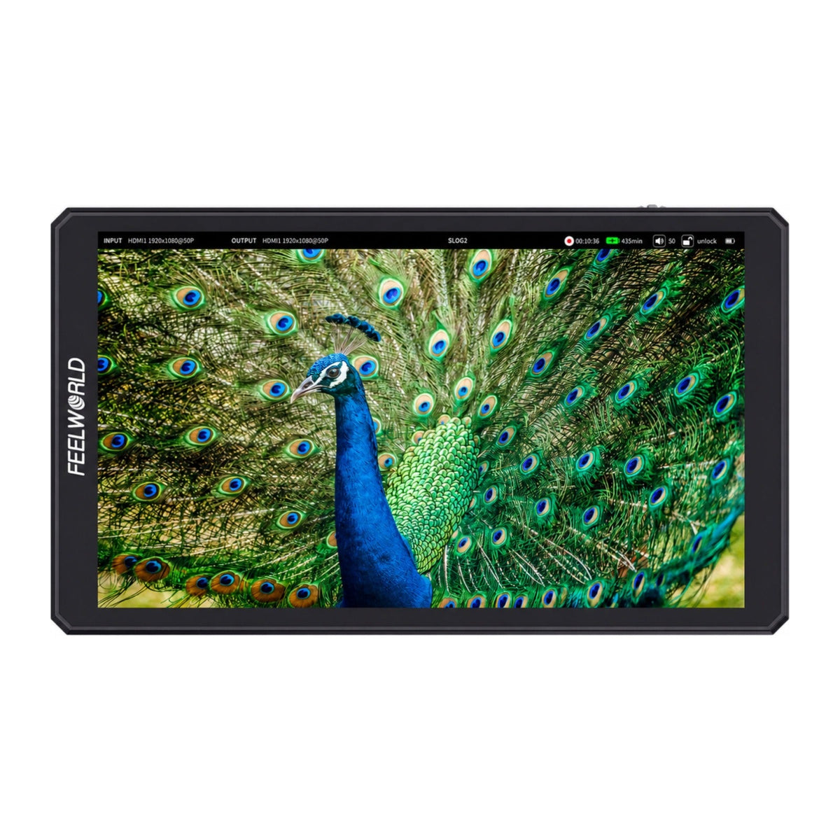 Feelworld CUT6S 6" 450nit 3G-SDI/HDMI Touchscreen Monitor Recorder