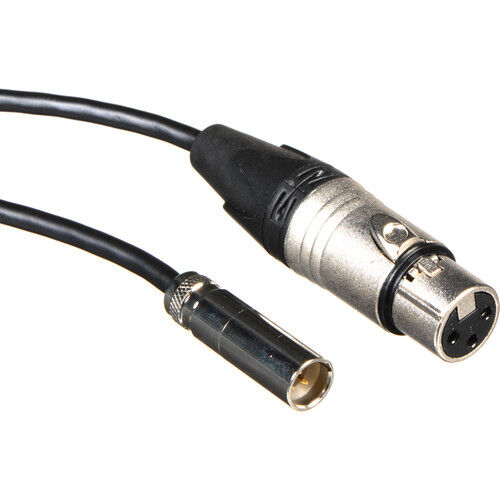 Blackmagic Design Set of 2 Mini XLR to XLR Audio Cables for Video Assist 4K (19.5") image 1