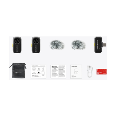 Hollyland Lark A2 Mini Duo Wireless Microphone (Space Gray, USB-C RX)