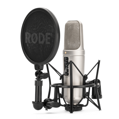 NT2-A Multi-pattern Large-Diaphragm Condenser Microphone