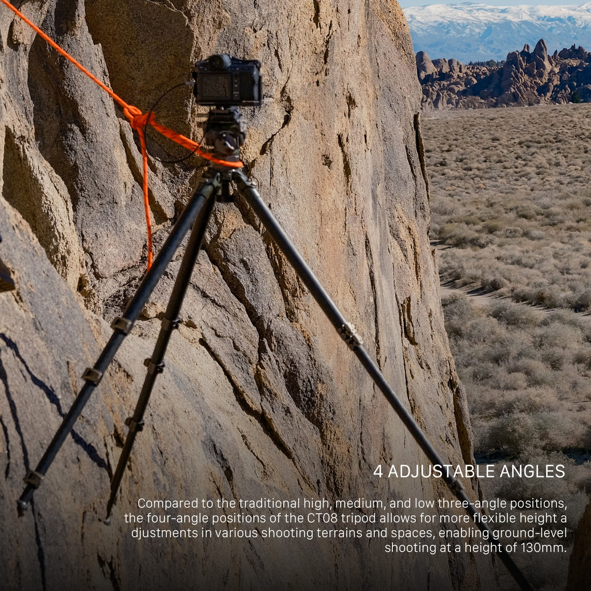 Tilta 75mm Cine Fluid Head with 3-Stage Carbon Fiber Tripod Legs (8KG) - Forest Camo